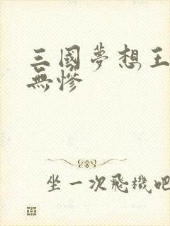 三国梦想王元姬无惨