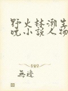 野火林潮生林晚晚小说人物野火