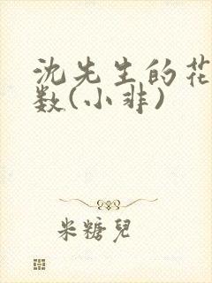 沈先生的花式调数(小非)