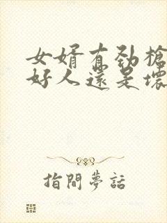 女婿有劲枪枪是好人还是坏人