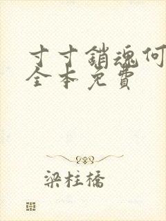 寸寸销魂何生祥全本免费