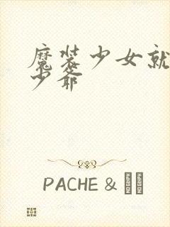 魔装少女就是本少爷