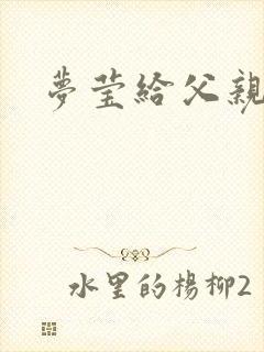 梦莹给父亲治病