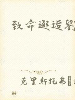 致命邂逅刘小寐