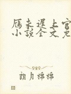 雁未迟上官穿越小说全文免费阅读