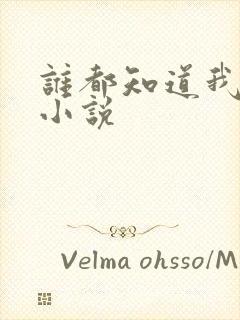 谁都知道我爱你小说