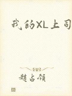 我的XL上司