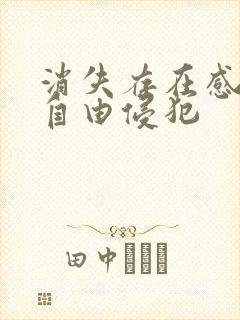 消失存在感消失自由侵犯