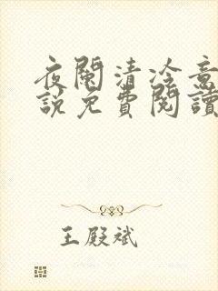 夜阑清冷意欢小说免费阅读
