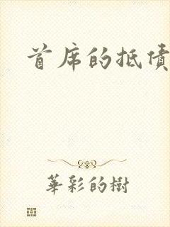 首席的抵债新娘