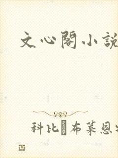 文心阁小说