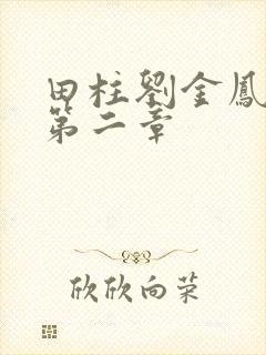 田柱刘金凤小说第二章