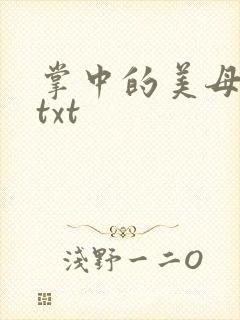 掌中的美母版主txt