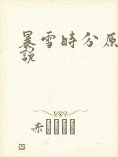 暴雪时分原著小说