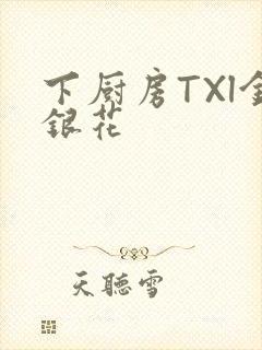 下厨房TXl金银花