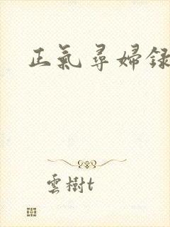 正气寻妇录