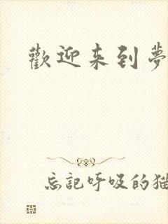 欢迎来到梦乐园