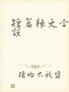 短篇辣文合集小说