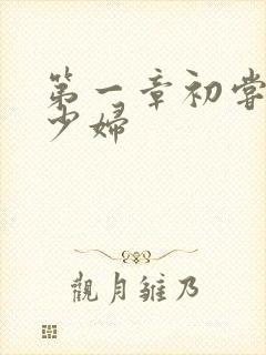 第一章初尝极品少妇