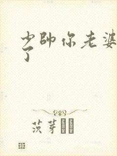 少帅你老婆又跑了