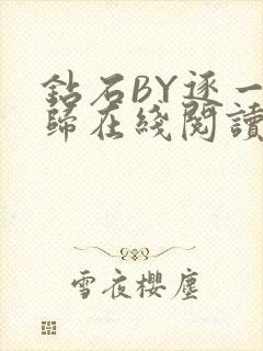 钻石BY逐一而归在线阅读