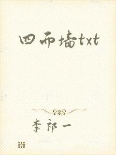 四面墙txt