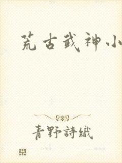 荒古武神小说