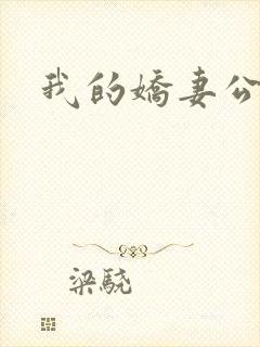 我的娇妻公务员