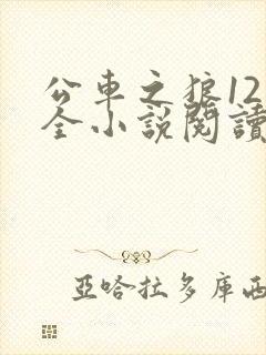 公车之狼12集全小说阅读