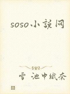 soso小说网