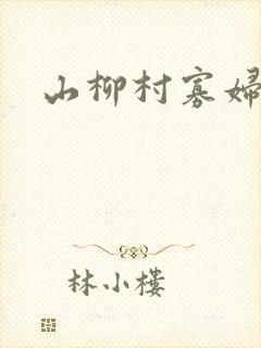 山柳村寡妇情史