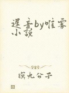 迟音by唯雾的小说