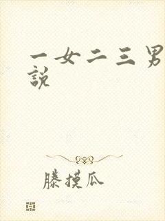 一女二三男事小说