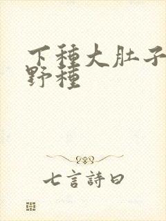 下种大肚子怀孕野种