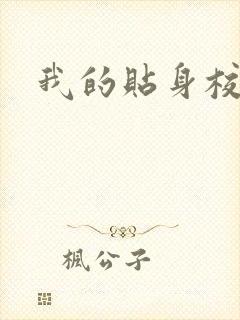 我的贴身校花