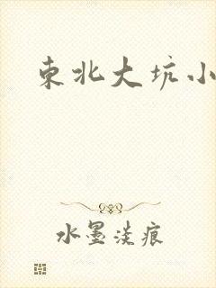 东北大坑小说