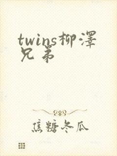 twins柳泽兄弟