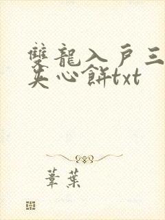 双龙入户三人行夹心饼txt