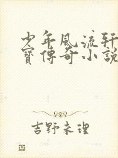 少年风流轩辕大宝传奇小说