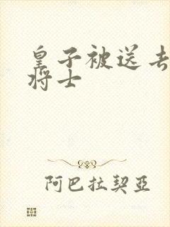 皇子被送去犒劳将士