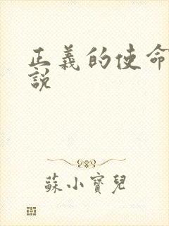 正义的使命 小说