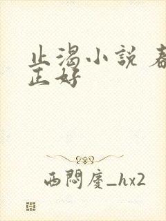 止渴小说 春光正好