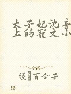 太子妃沈音和皇上的宠文小说