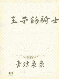 王子的骑士