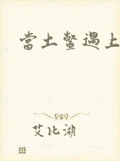 当土鳖遇上海龟