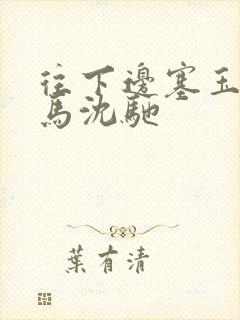 往下边塞玉器骑马沈驰