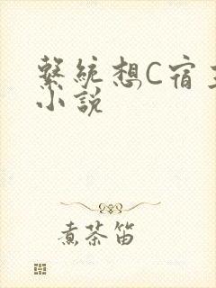 系统想C宿主的小说