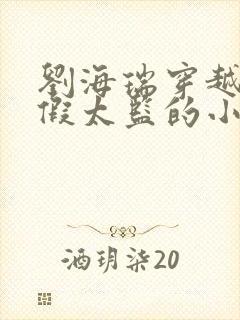 刘海瑞穿越后宫假太监的小说