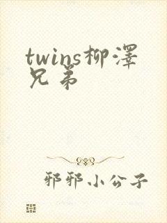 twins柳泽兄弟