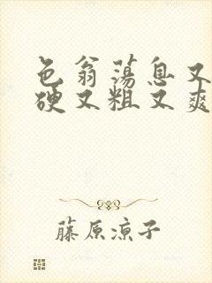 色翁荡息又大又硬又粗又爽